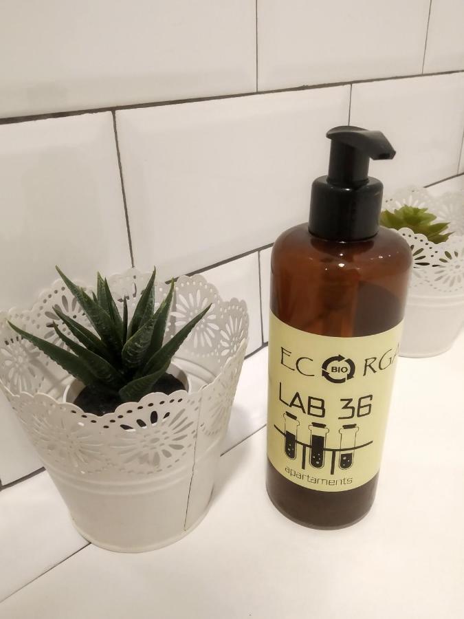 Lab 36 Apartaments マラガ エクステリア 写真